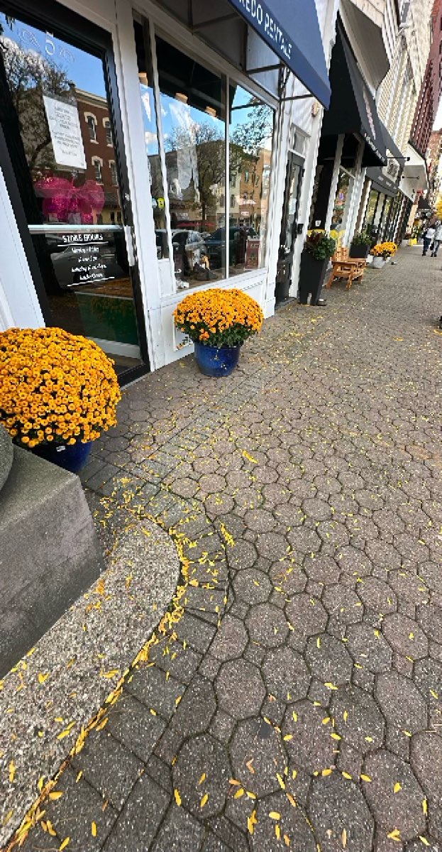 ブリッジウォーター・カレッジ・スカベンジャーハントのスカベンジャーハント写真