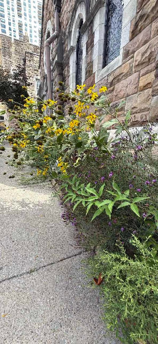 Chasse au trésor dans le centre-ville de Nashville, Tennessee - photos de la chasse au trésor