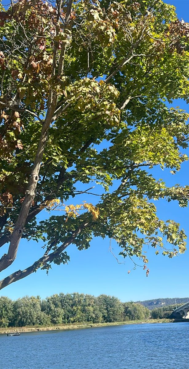 รูปภาพ Wabasha Scavenger Hunt