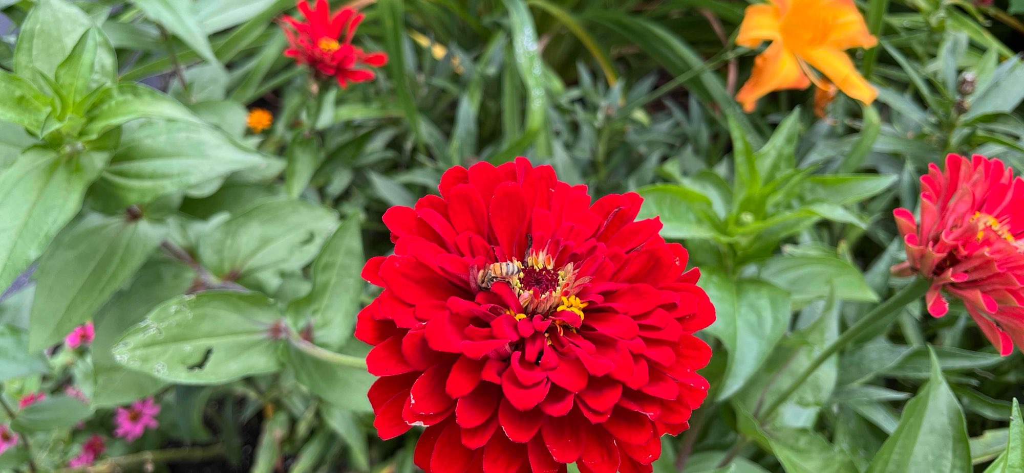 South Shore Scavenger Hunt Fotogalleri