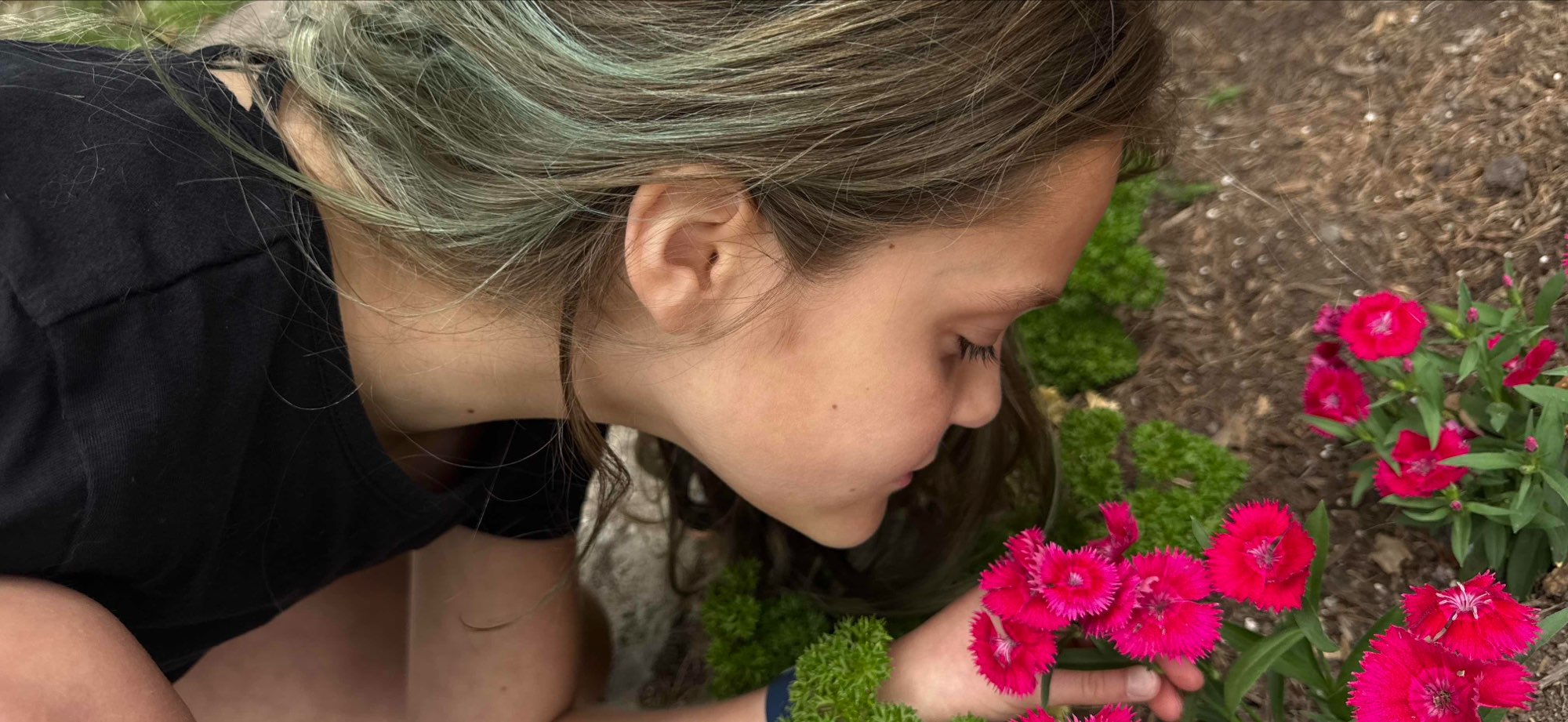 Vergennes Scavenger Hunt scavenger hunt photos