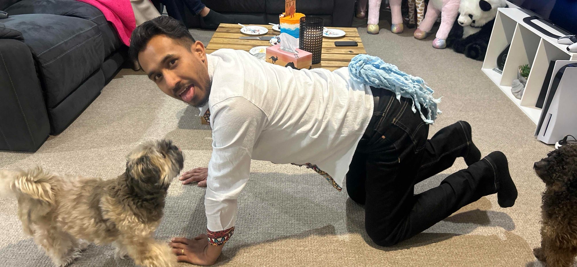 Launceston Avustralya Scavenger Hunt (Gezici Avı) fotoğrafları