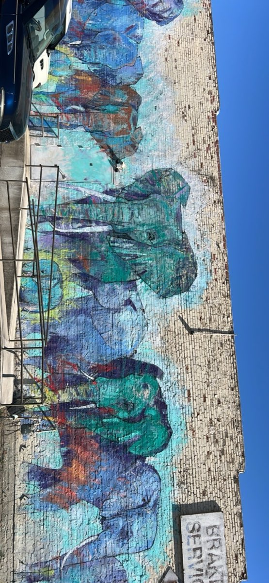 Dallas Downtown Scavenger Hunt scavenger hunt photos