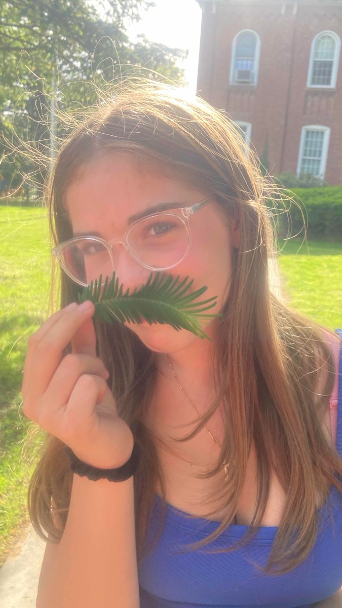 Morristown Tennessee Scavenger Hunt scavenger hunt photos