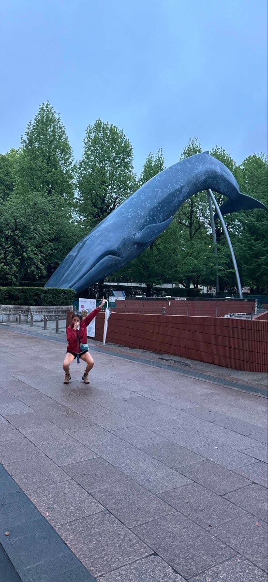 타이토 시티 스캐빈저 헌트 스캐빈저 헌트 사진