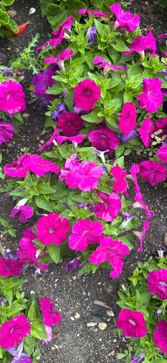 Regina Scavenger Hunt scavenger hunt photos