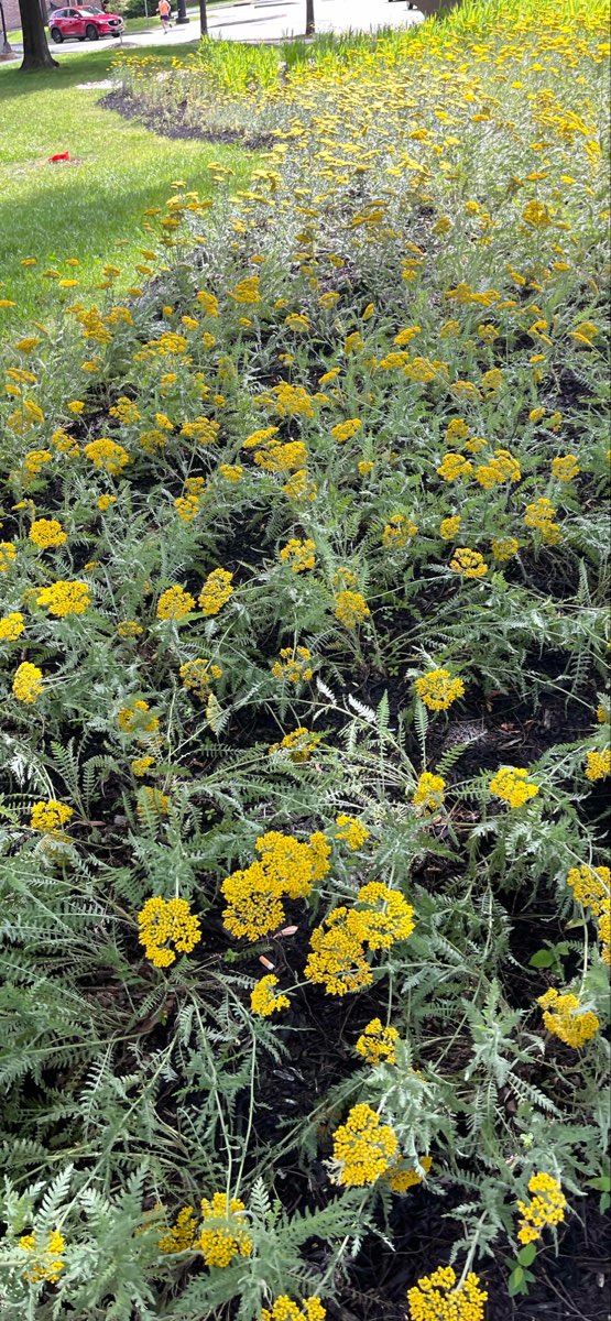 University of Tennessee--Knoxville Scavenger Hunt scavenger hunt photos