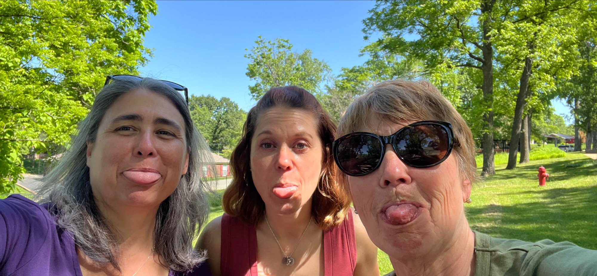 Grantwood Village Scavenger Hunt scavenger hunt photos