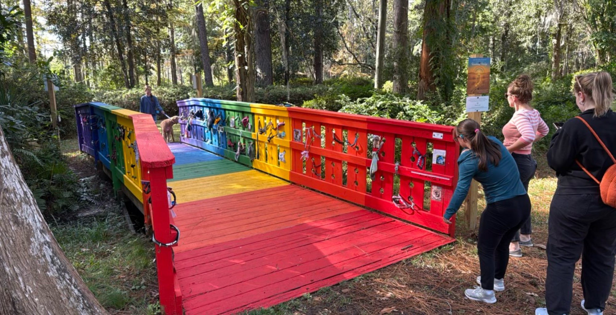 Wilmington North Carolina Scavenger Hunt scavenger hunt photos