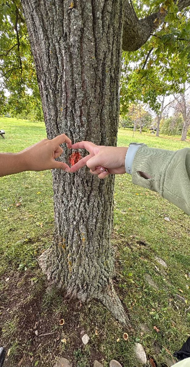 Oakville Downtown Scavenger Hunt scavenger hunt photos