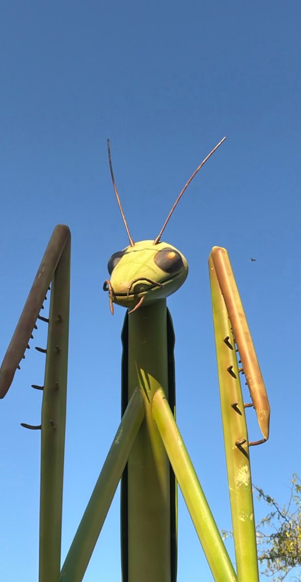 코코모 스캐빈저 헌트 사진