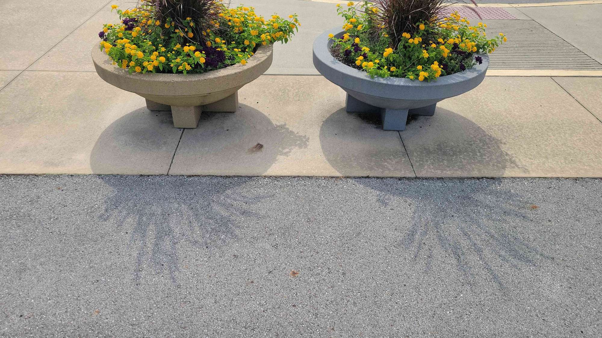 team building scavenger hunt