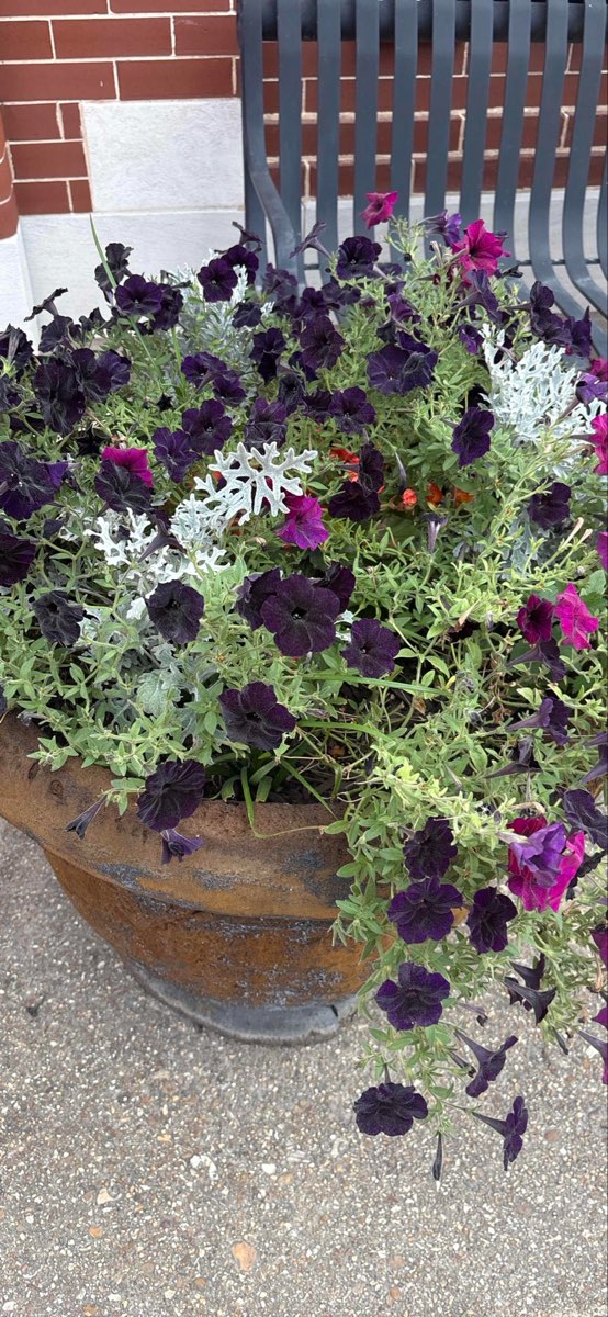 Hermann Scavenger Hunt scavenger hunt photos