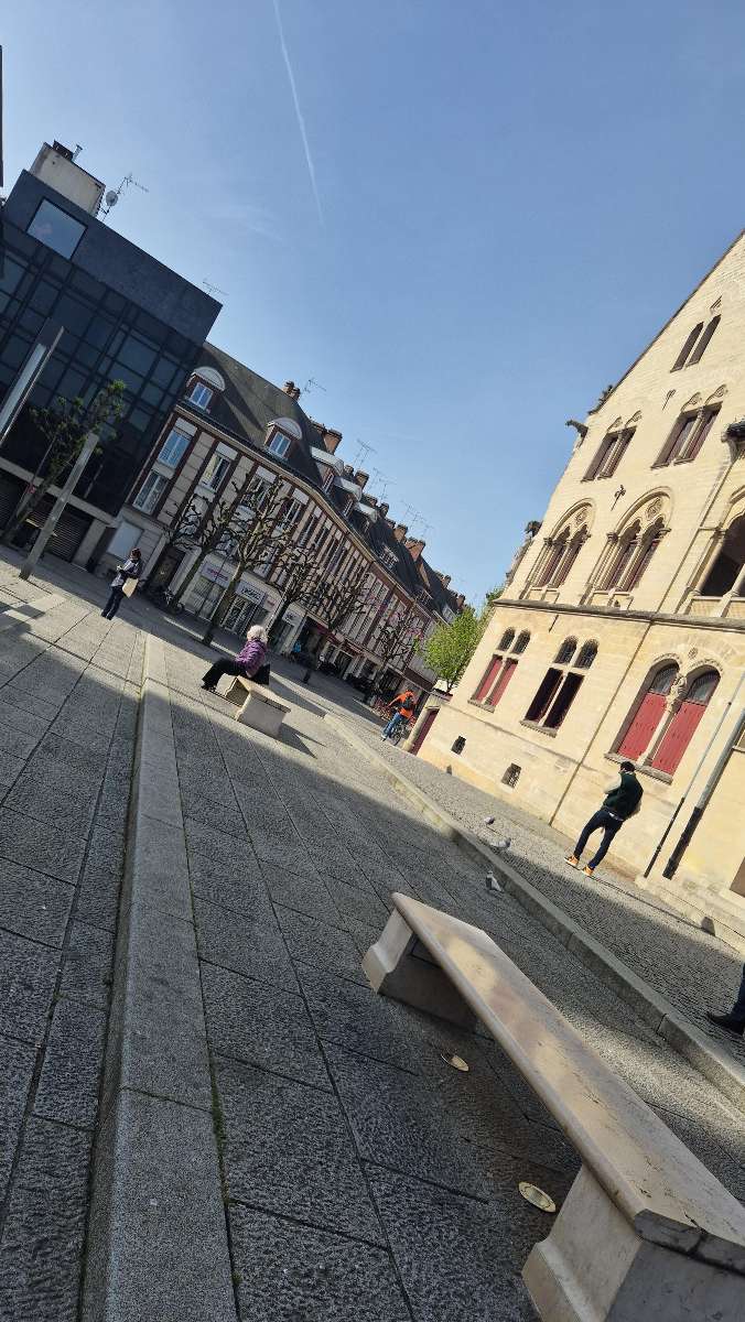 Camon Scavenger Hunt scavenger hunt photos