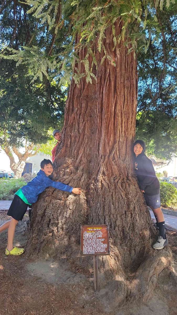 Monterey Scavenger Hunt scavenger hunt photos