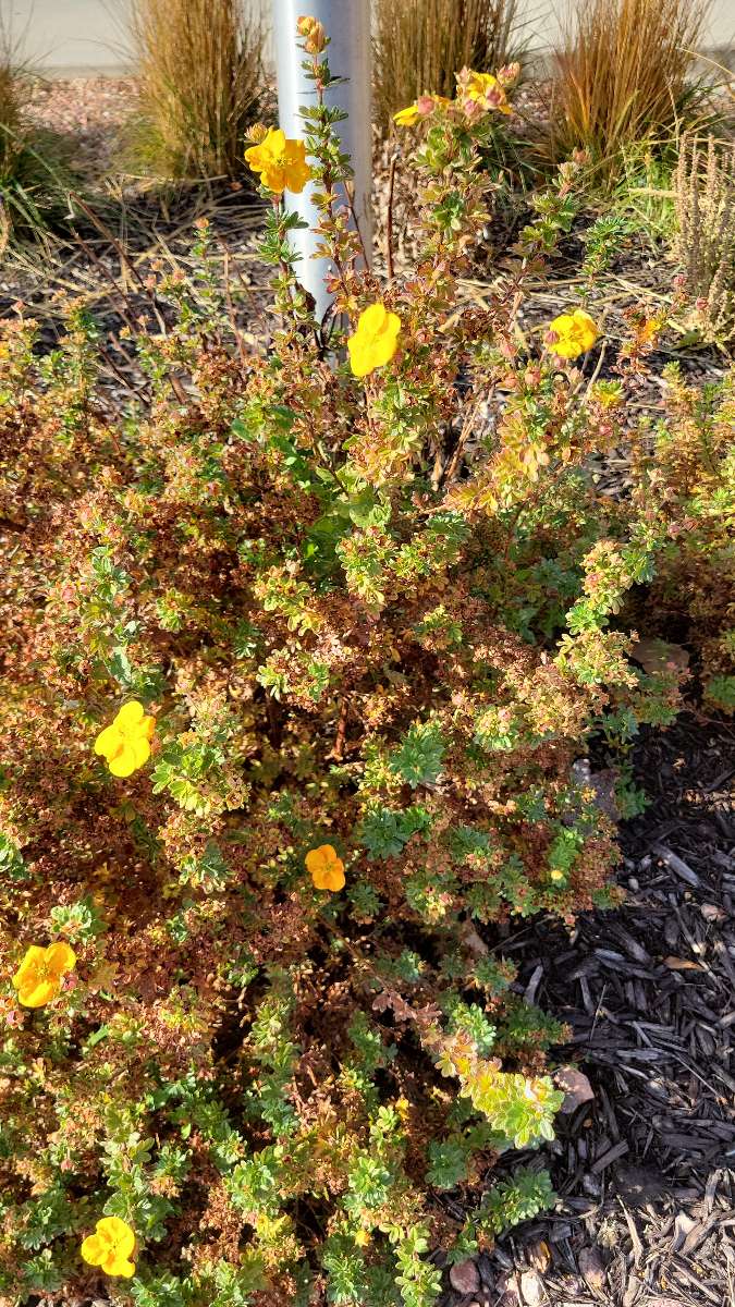 team building scavenger hunt