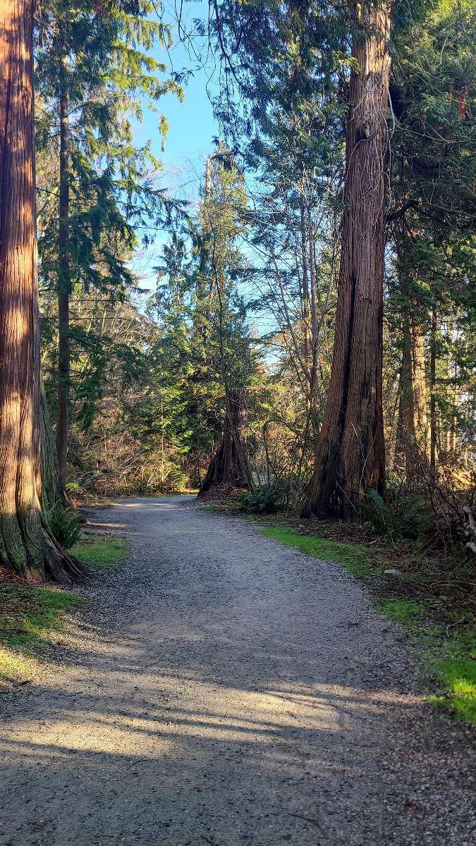 Popkulttuuri&colon; Riverdale TV-sarjan kuvauspaikat - aarteenetsint&auml; kuvat