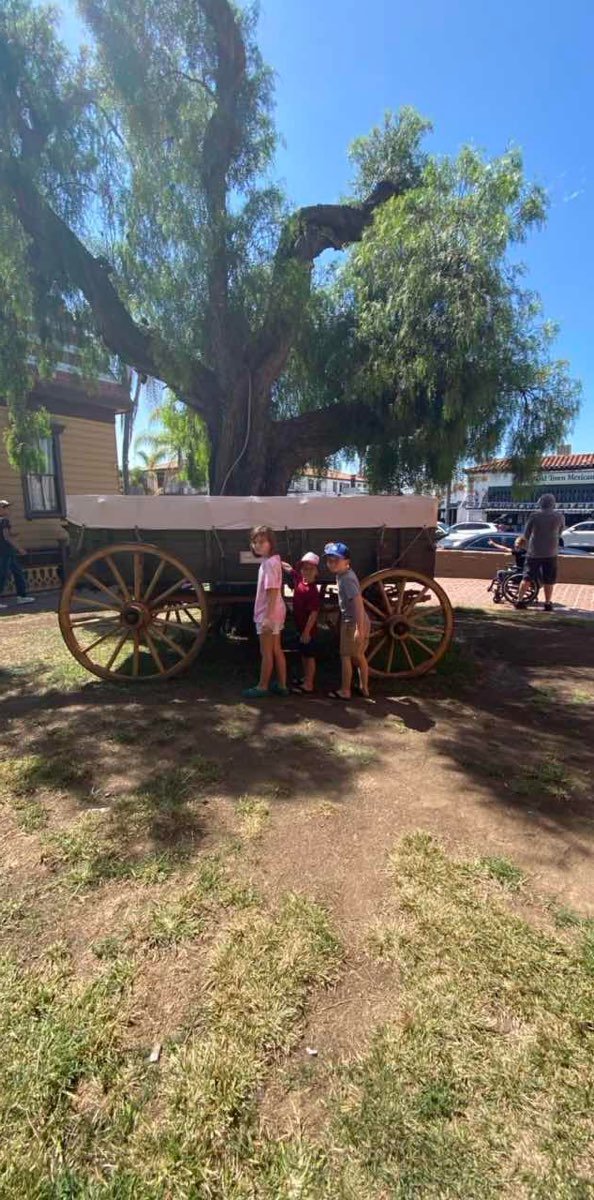 サンディエゴ スカベンジャーハントのスカベンジャーハント写真