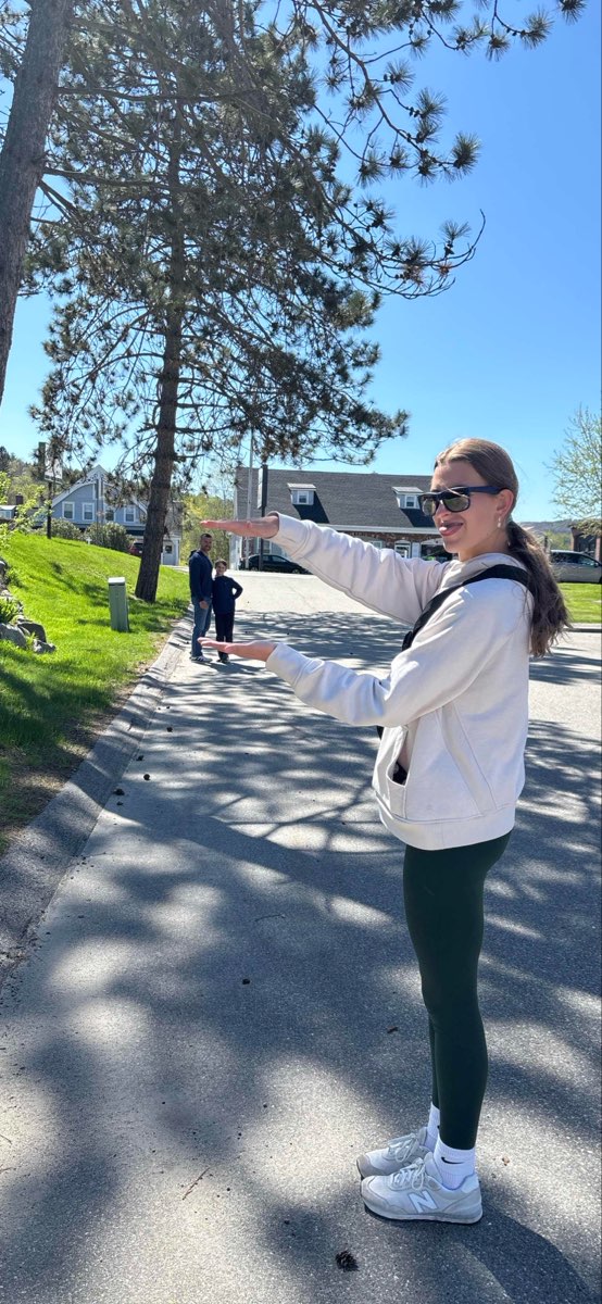 Fotografii v&acirc;n&abreve;toare de comori Littleton New Hampshire