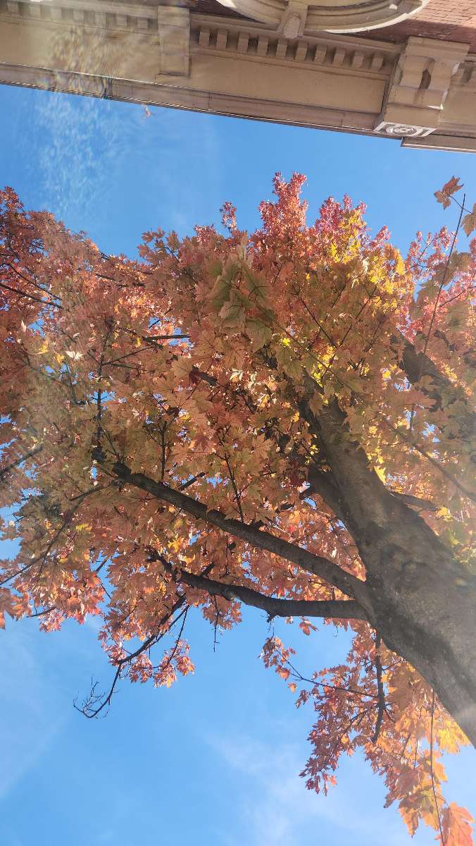 Hincheyville Scavenger Hunt scavenger hunt photos