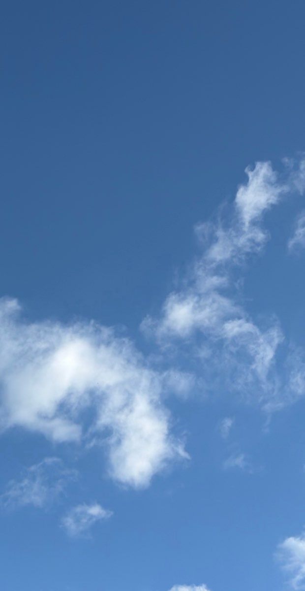 Echuca Scavenger Hunt çevrimdışı avı fotoğrafları