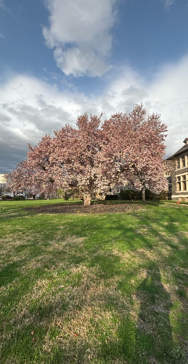 Fotos de la Búsqueda del Tesoro de Coatesville