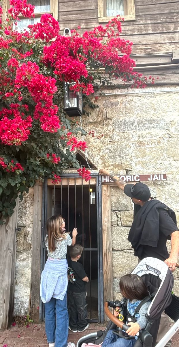 tiimiyritysseikkailu