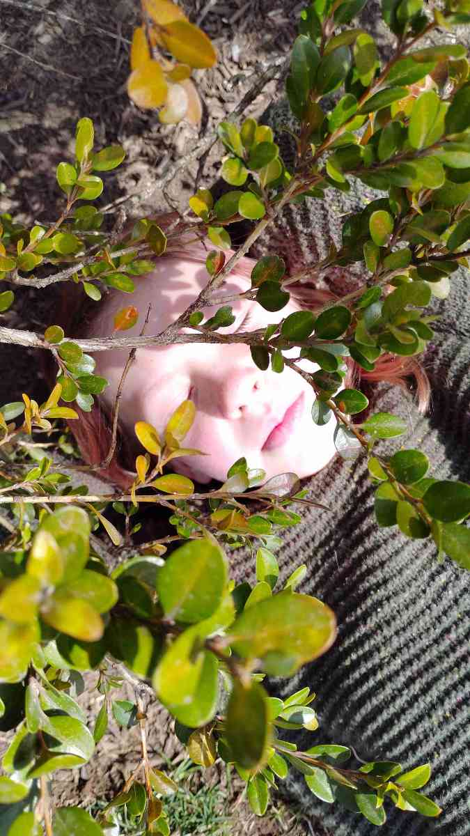 프런트 로열 스캐빈저 헌트 스캐빈저 헌트 사진