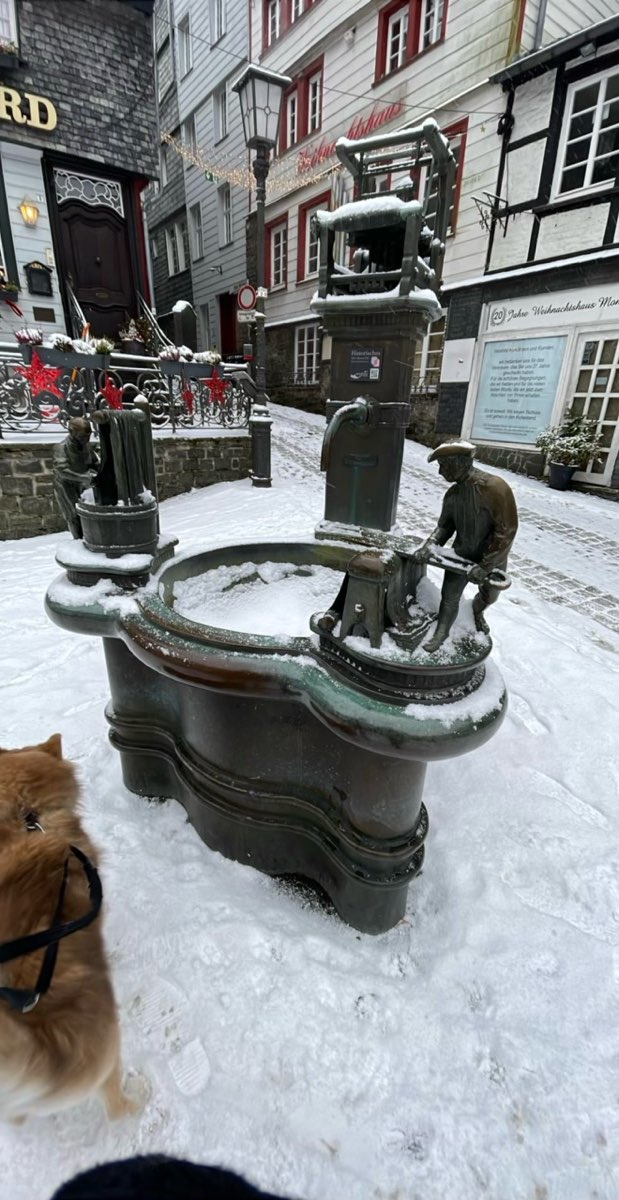 Fotografii v&acirc;n&abreve;toare de comori Monschau