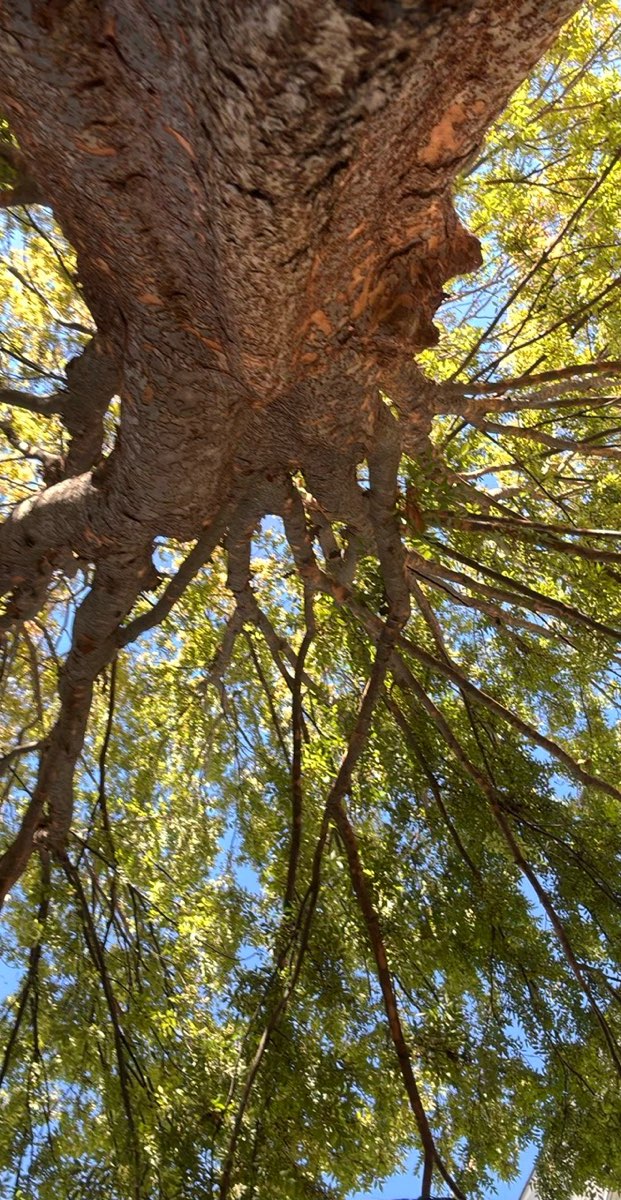 Roswell Georgia Scavenger Hunt scavenger hunt photos