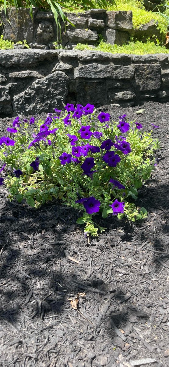 Bardstown Scavenger Hunt scavenger hunt photos