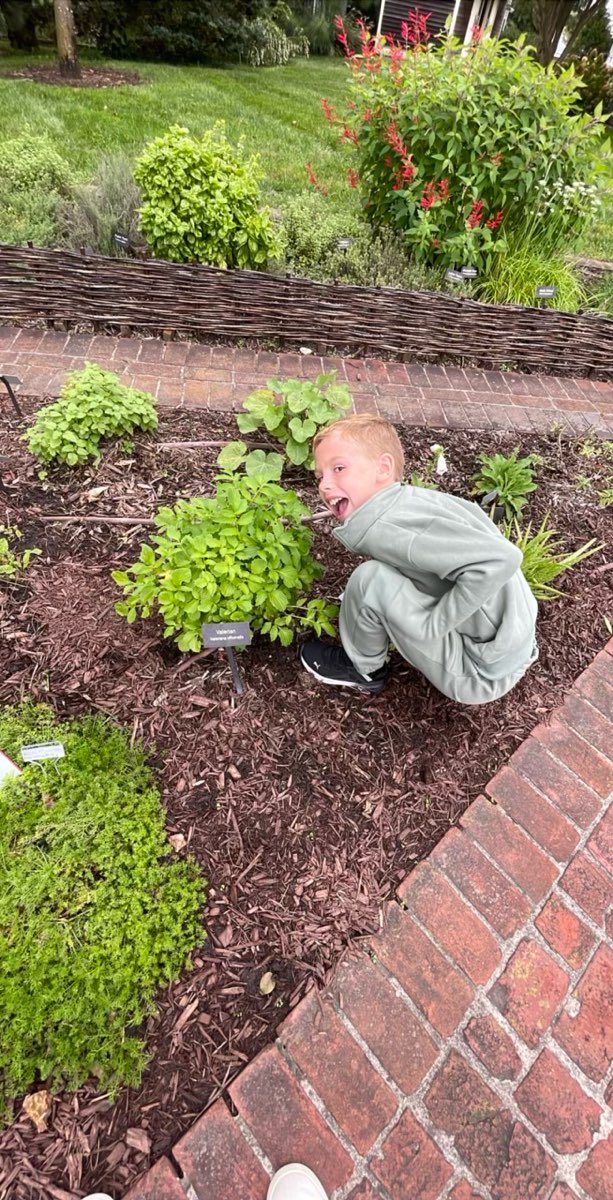 Lewes-i kincsvadászat fotók