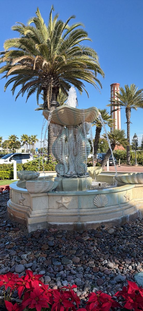 科罗纳多寻宝寻宝照片