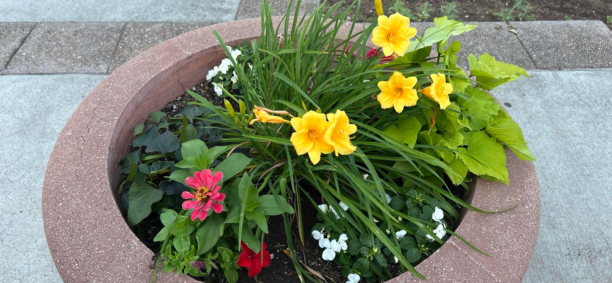 Santa Fe Scavenger Hunt scavenger hunt photos