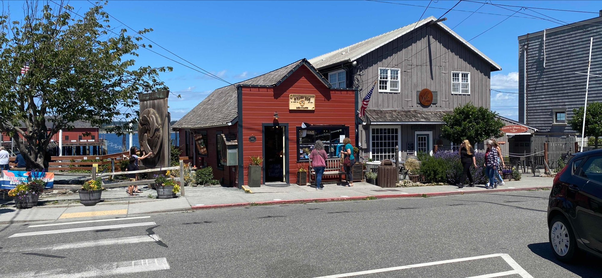 クープビル・スカベンジャーハントのスカベンジャーハント写真