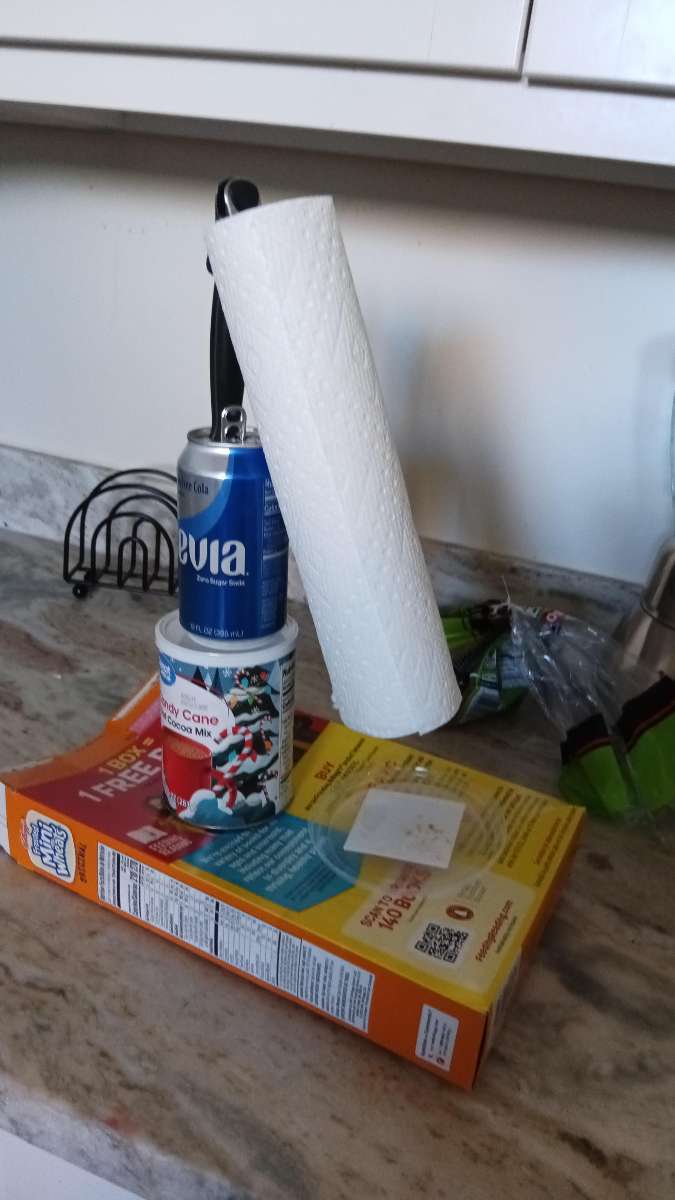 Walnut Creek Scavenger Hunt scavenger hunt photos