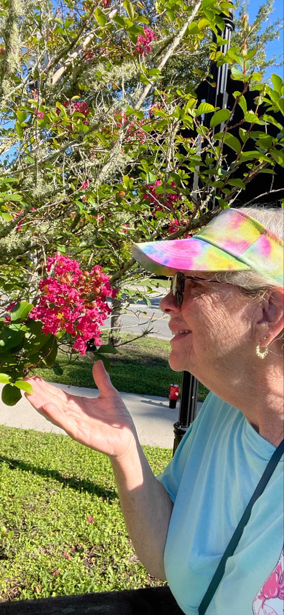 水晶河寻宝游戏照片