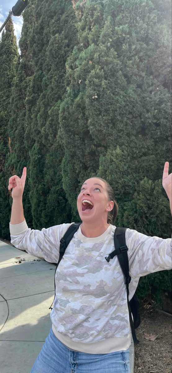 תמונות מחיפוש המטמון בקרפנטריה