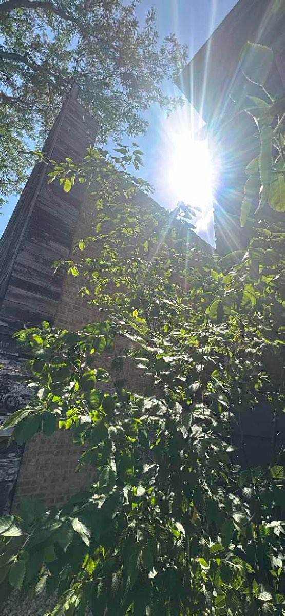 Gold Coast Scavenger Hunt scavenger hunt photos