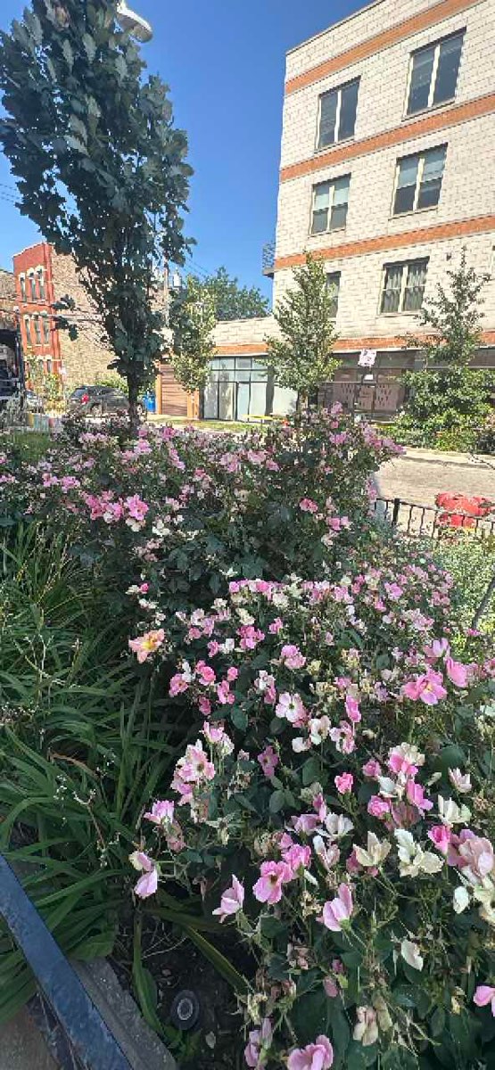 Magnificent Mile Scavenger Hunt scavenger hunt photos