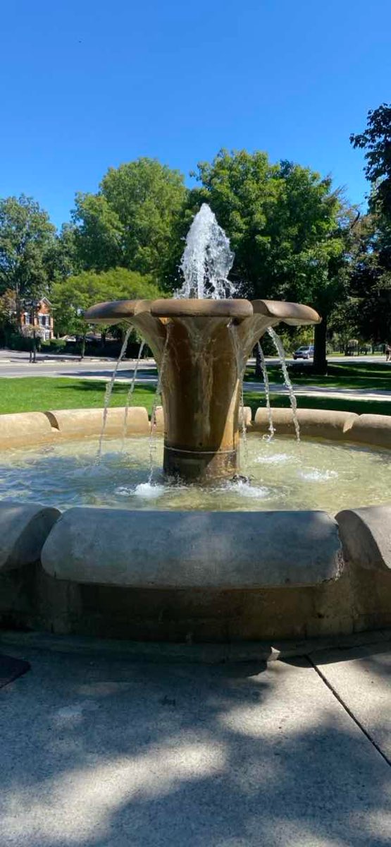 Brampton Scavenger Hunt scavenger hunt photos