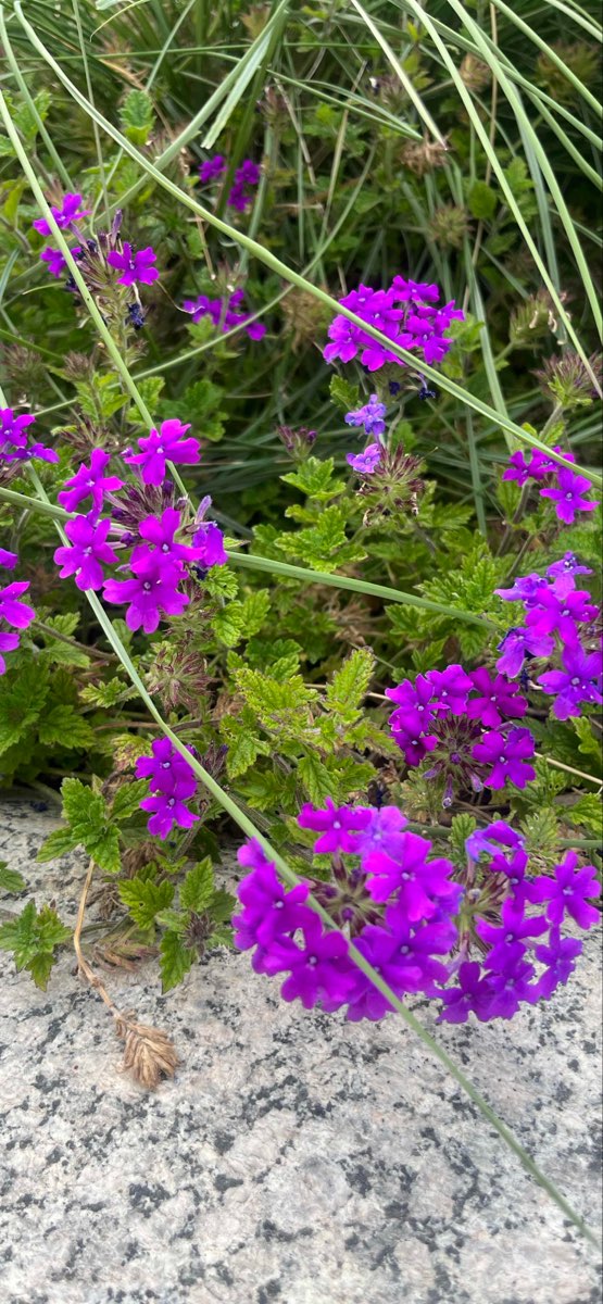 Fotos da Caça ao Tesouro em Capitol Hill