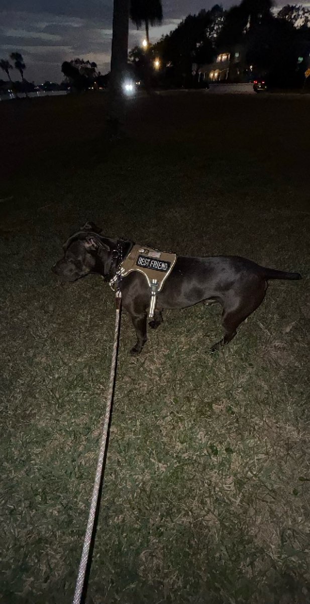 Foto's van de New Smyrna Beach Scavenger Hunt scavenger hunt