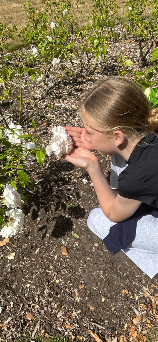 Christchurch United Kingdom Skattejakt bilder