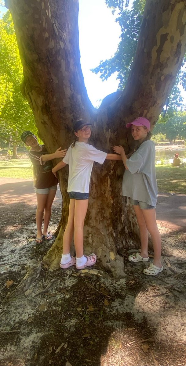 &Phi;&omega;&tau;&omicron;&gamma;&rho;&alpha;&phi;ί&epsi;&sigmav; &kappa;&upsi;&nu;&eta;&gamma;&iota;&omicron;ύ &theta;&eta;&sigma;&alpha;&upsi;&rho;&omicron;ύ &sigma;&tau;&omicron; &Kappa;έ&nu;&tau;&rho;&omicron; &tau;&omicron;&upsi; &Pi;&epsi;&rho;&theta;&comma; &Alpha;&upsi;&sigma;&tau;&rho;&alpha;&lambda;ί&alpha;