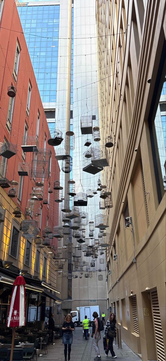 University of Technology Sydney Scavenger Hunt scavenger hunt photos