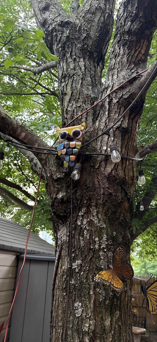 애슈빌 유령 투어 스캐빈저 헌트 사진