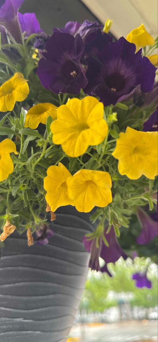 Saugatuck Downtown Scavenger Hunt scavenger hunt photos