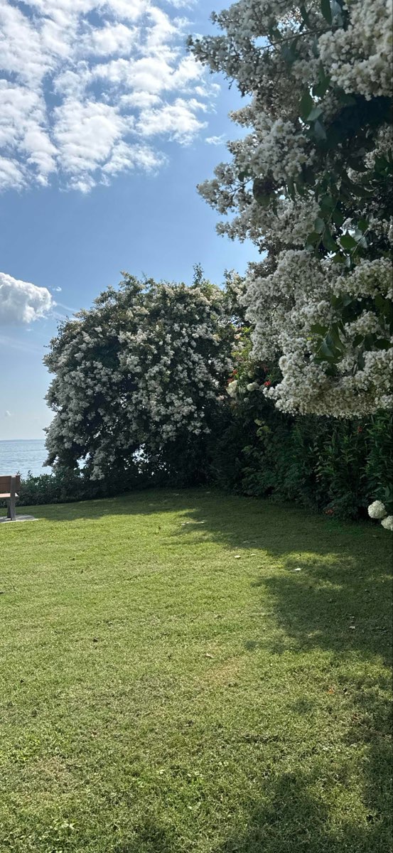 Photos de la chasse au trésor du Nord-Est