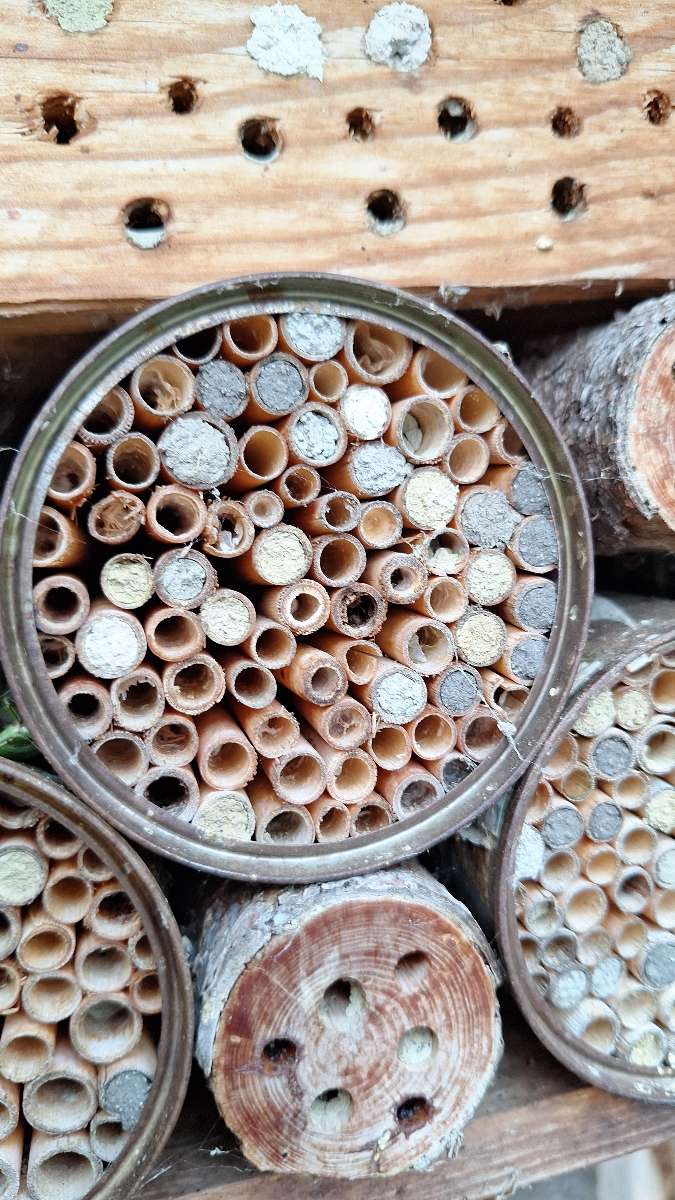 Lindau Scavenger Hunt scavenger hunt photos